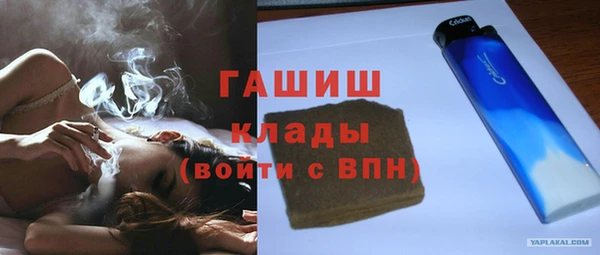 шишки Горнозаводск