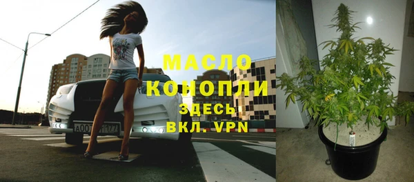 шишки Горнозаводск