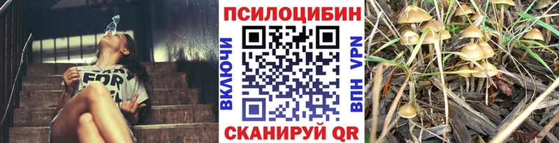 Галлюциногенные грибы Cubensis купить закладку МЕГА онион Череповец
